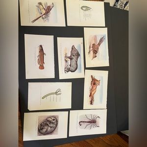 Vintage Biology Textbook Prints